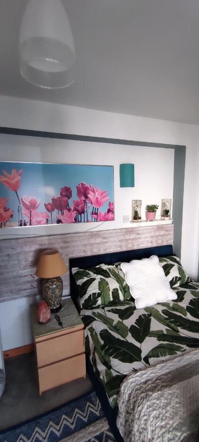 Joanna'S Studio , Key Locker By Whatsapp Own Entrance, Own Bathroom Youghal Ngoại thất bức ảnh